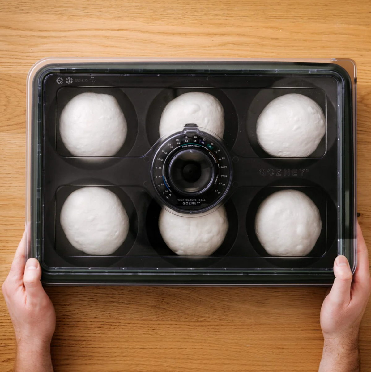 Dough Tray
